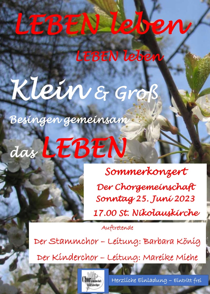2023 24 05 Plakat Sommerkonzert 25 06